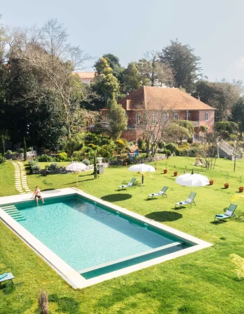 Jardin arboré avec piscine photographié pour valoriser une propriété.