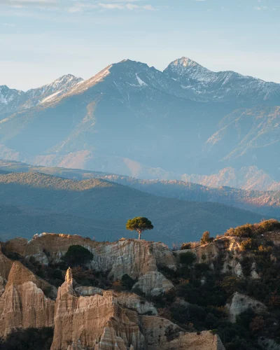 Arbre solitaire des Orgues d'Ille sur Tet, face au Canigou.